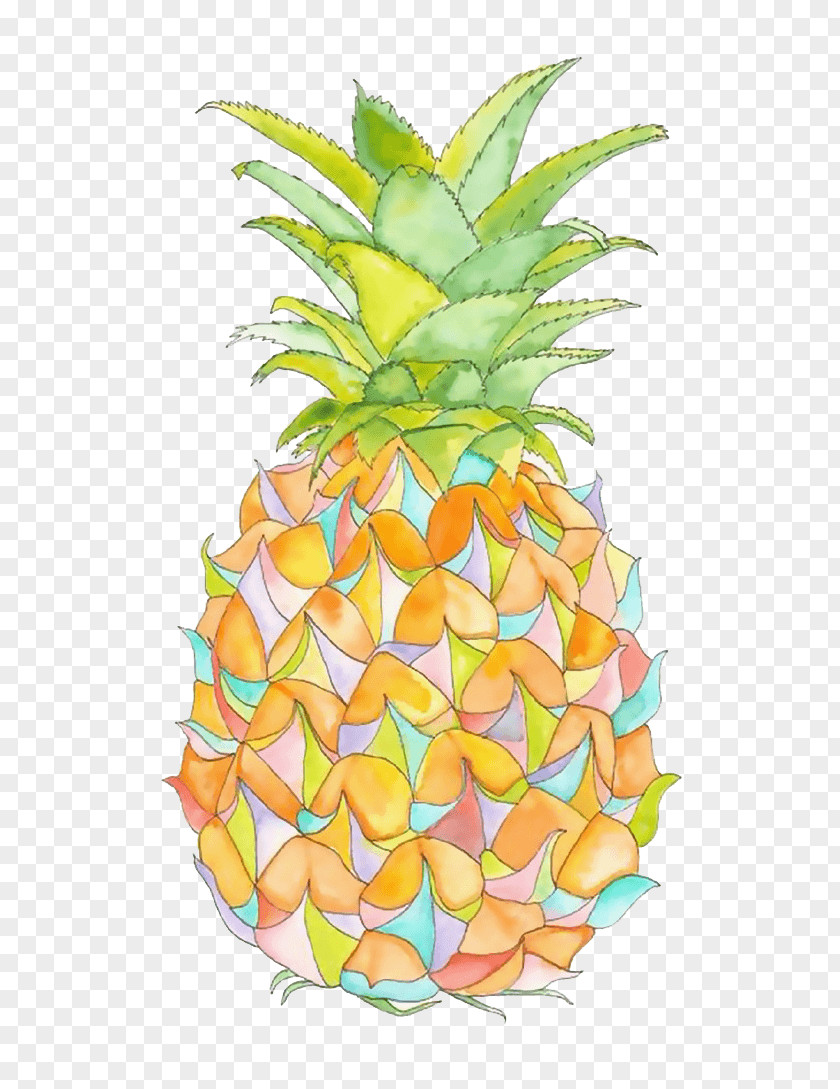 Ambra Watercolor Pineapple Image Fruit Illustration PNG