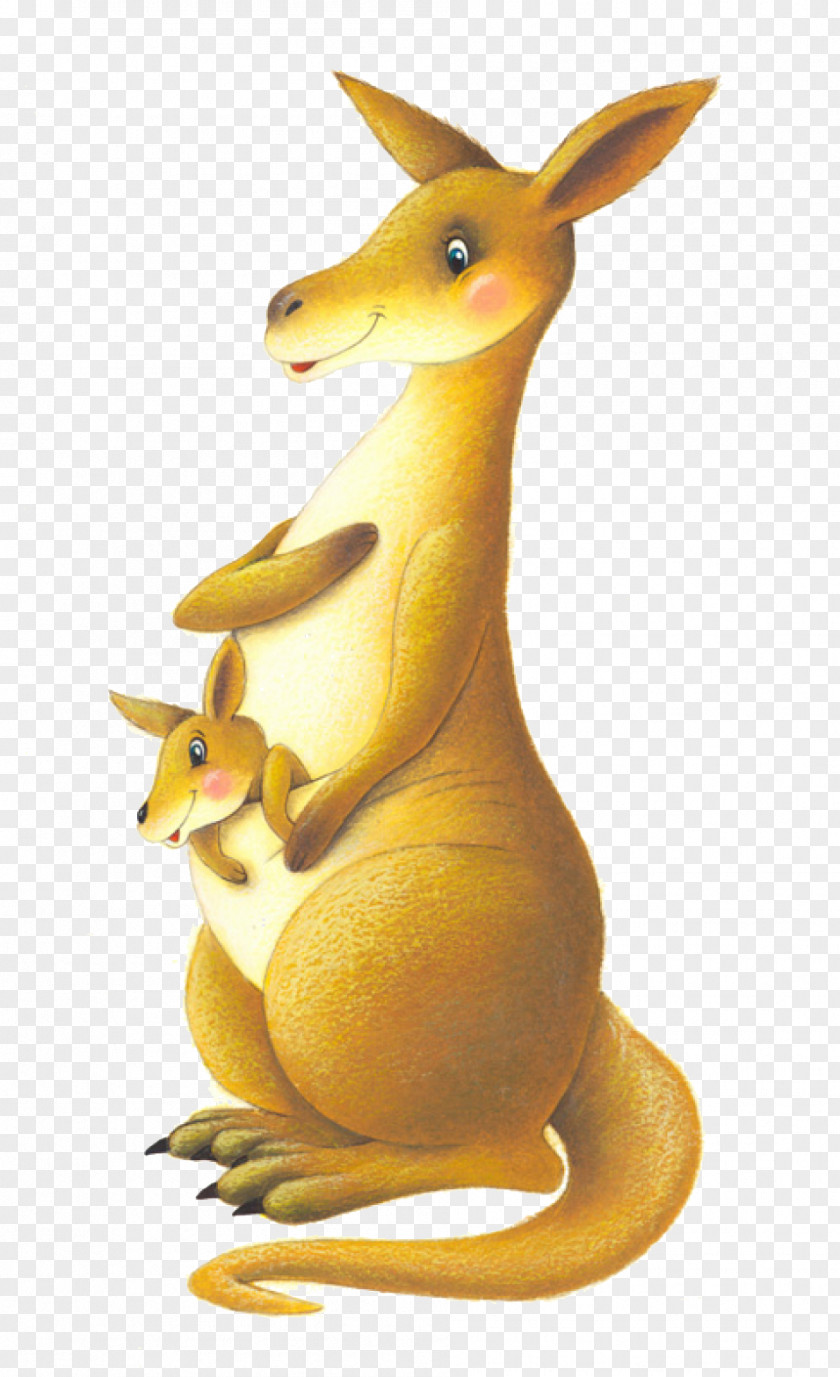 Cartoon Kangaroo Mother And Son Belle Illustration PNG