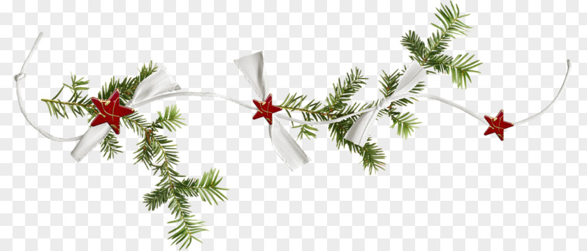 Christmas Ornament PNG