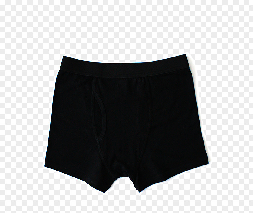Dress Swim Briefs Shorts Underpants PNG