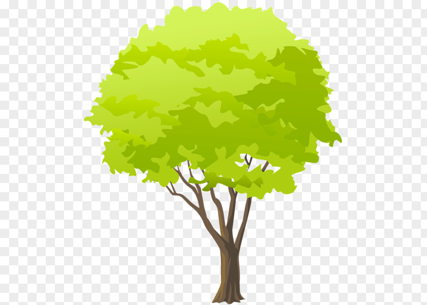 Green Tree Clip Art PNG