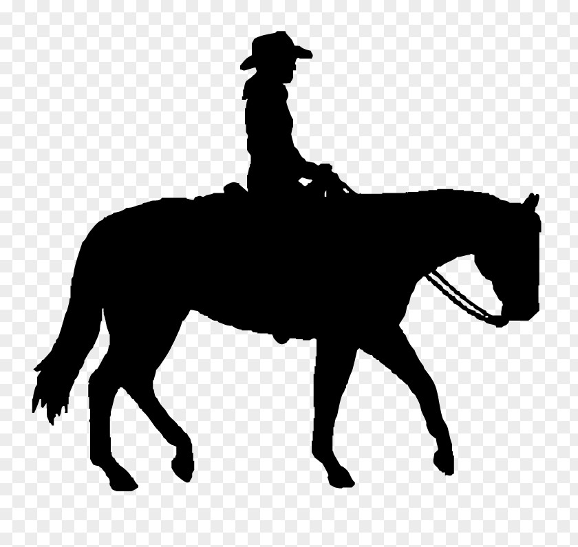 Rodeo Silhouette Dallas Cowboys Horse Clip Art PNG