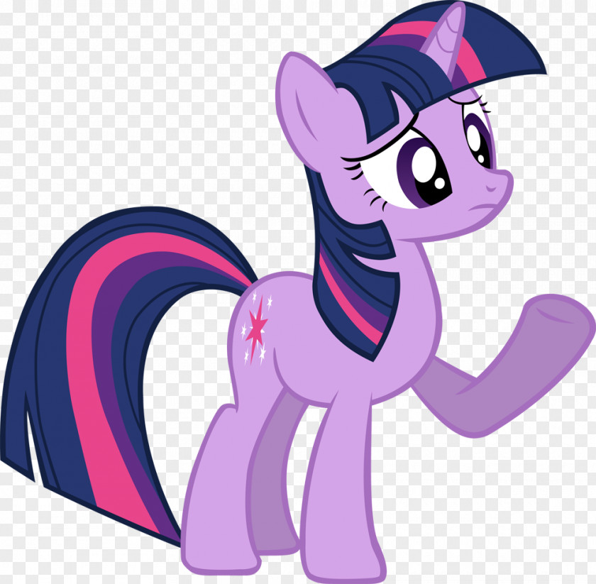 Twilight Sparkle Pony Rarity Princess Cadance Rainbow Dash PNG
