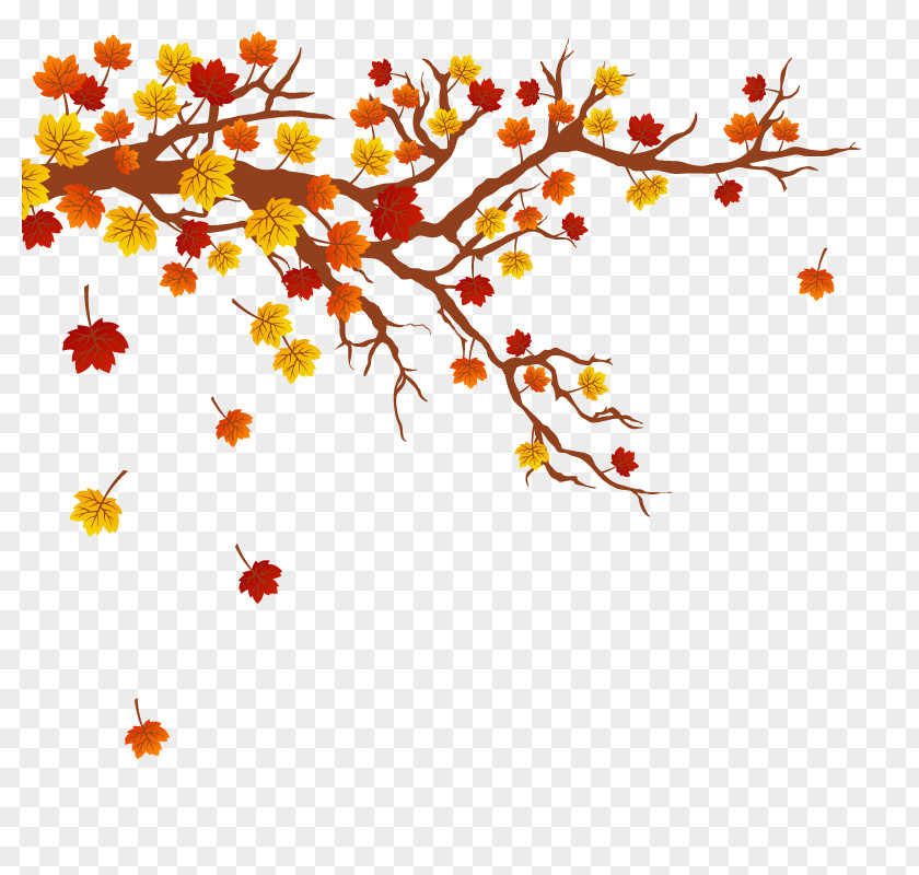 Vector Autumn Maple Leaves Leaf Color Tree Branch PNG