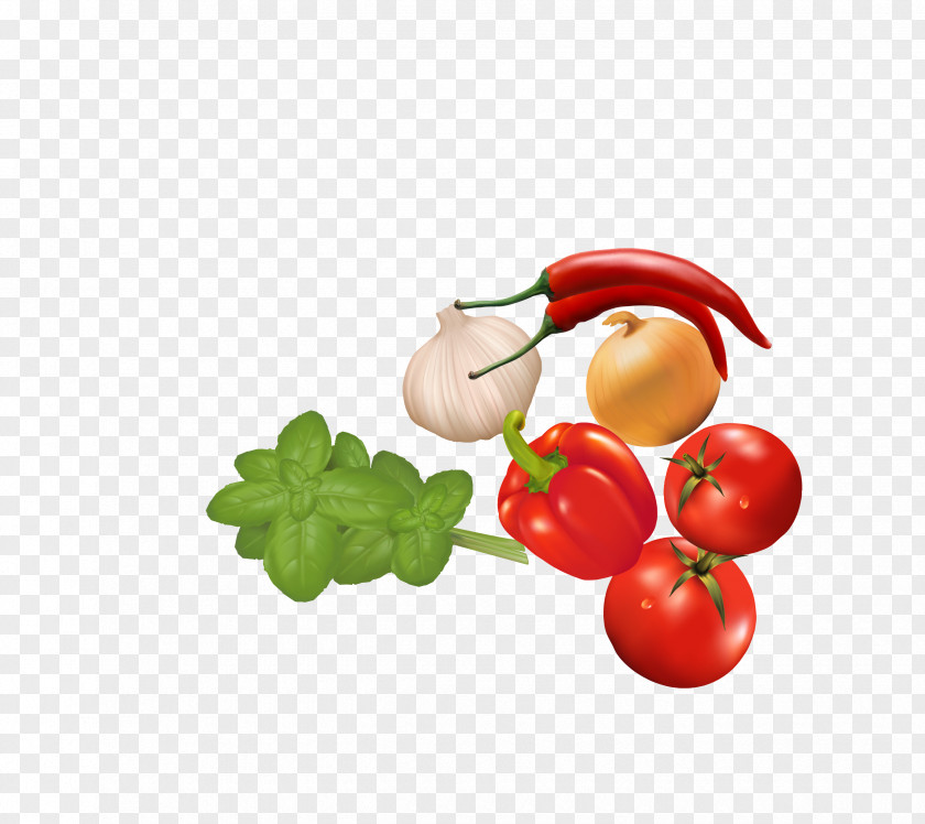 Vector Colored Vegetables Tomatoes Celery Peppers Tomato Vegetable Capsicum Annuum PNG