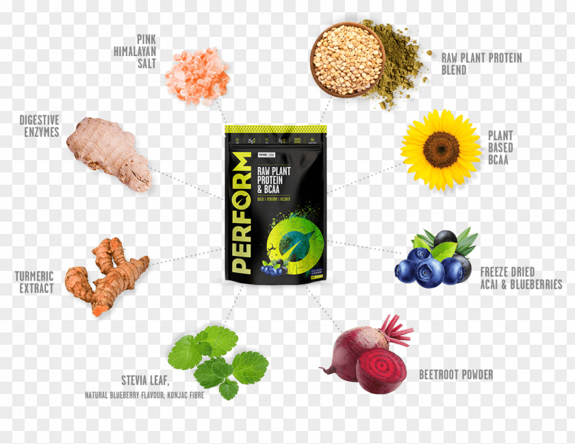 Pea Protein Raw Foodism Ingredient Veganism PNG