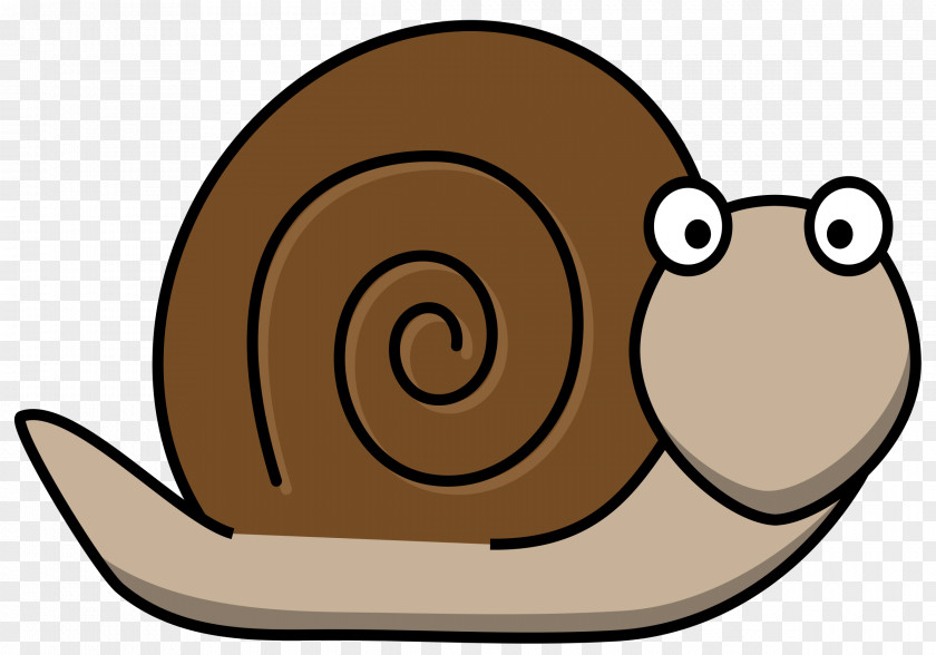 Snail Gastropods Clip Art PNG