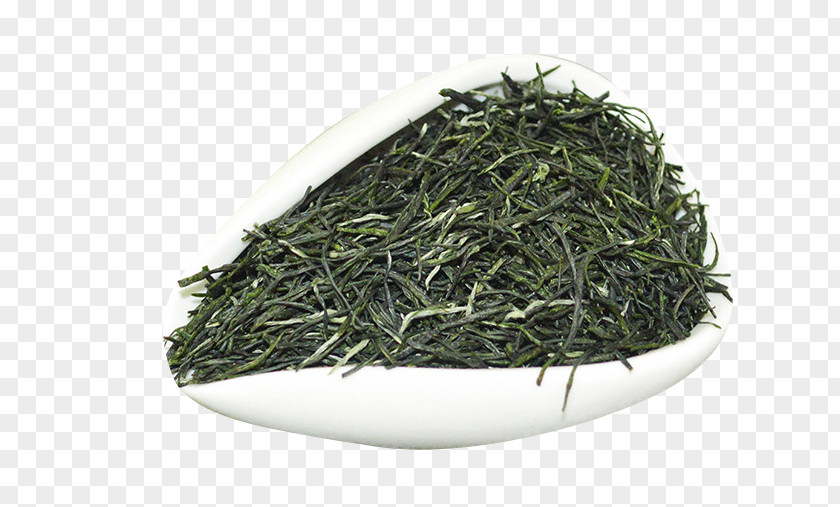 Xinyang Special Maojian Tea Gyokuro Green PNG
