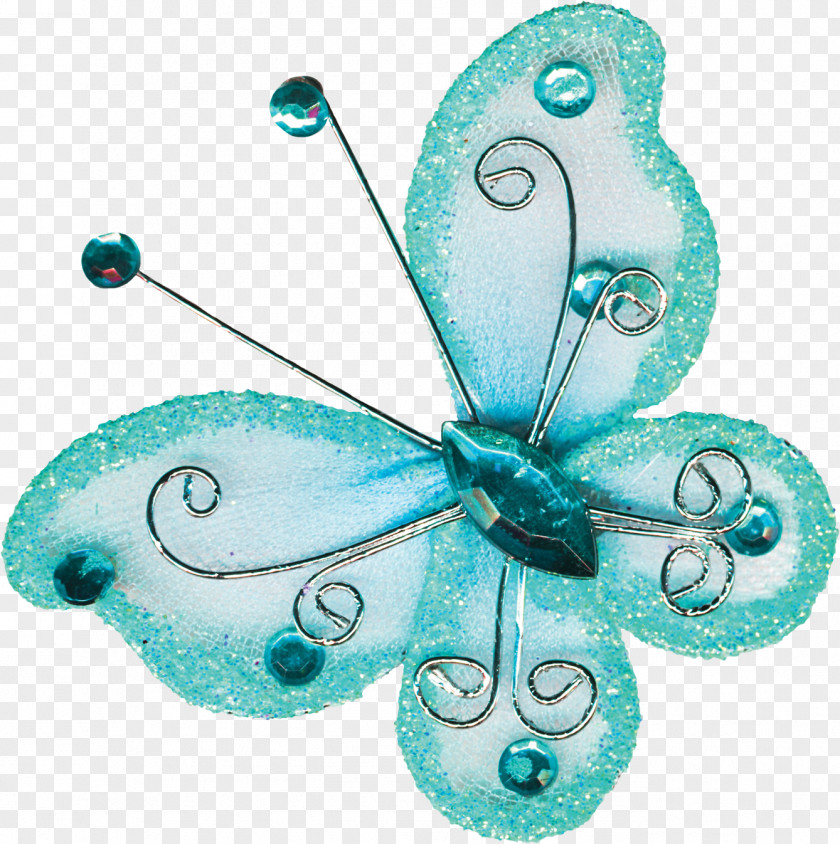 Butterfly Turquoise 2M Butterflies And Moths PNG