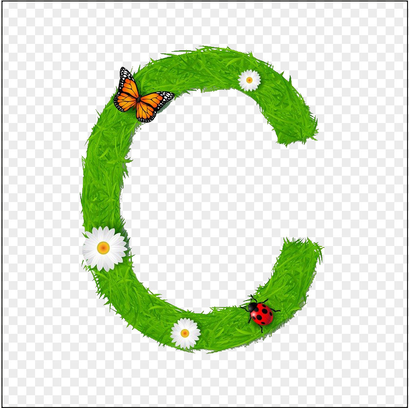 Environmentally Friendly Letter C Illustration PNG