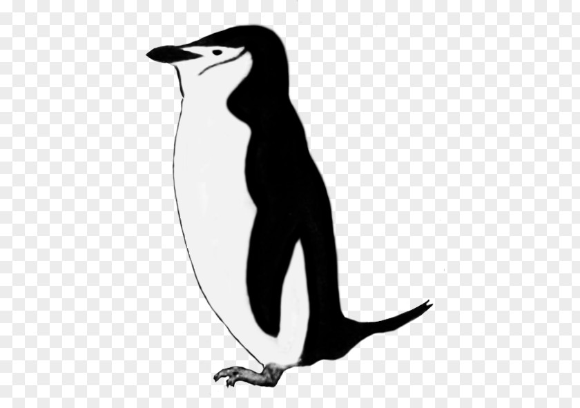 Penguin King Emperor Royal Clip Art PNG