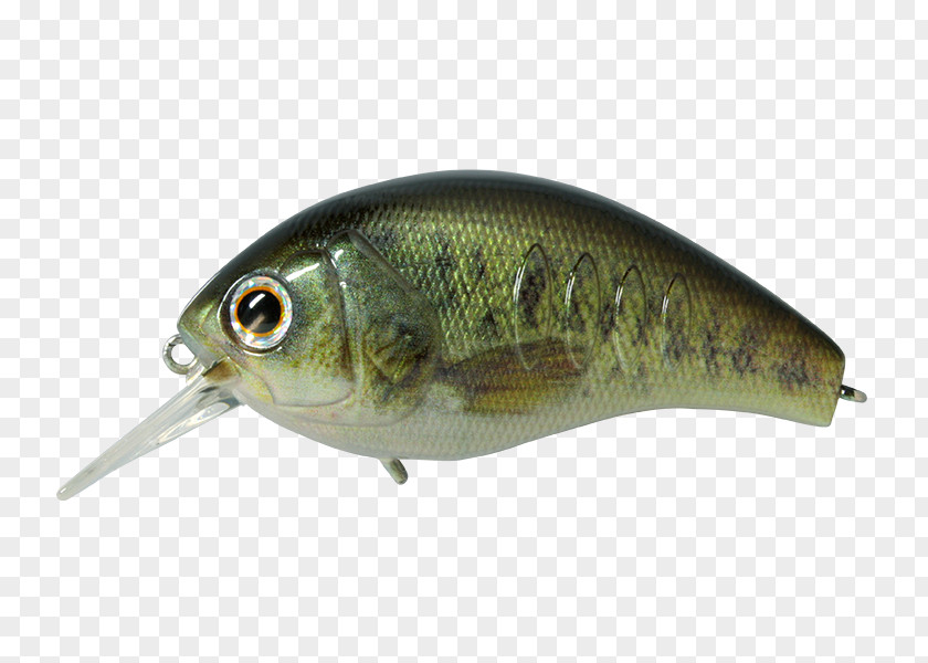 Spoon Lure Oily Fish Korrigan Rod PNG