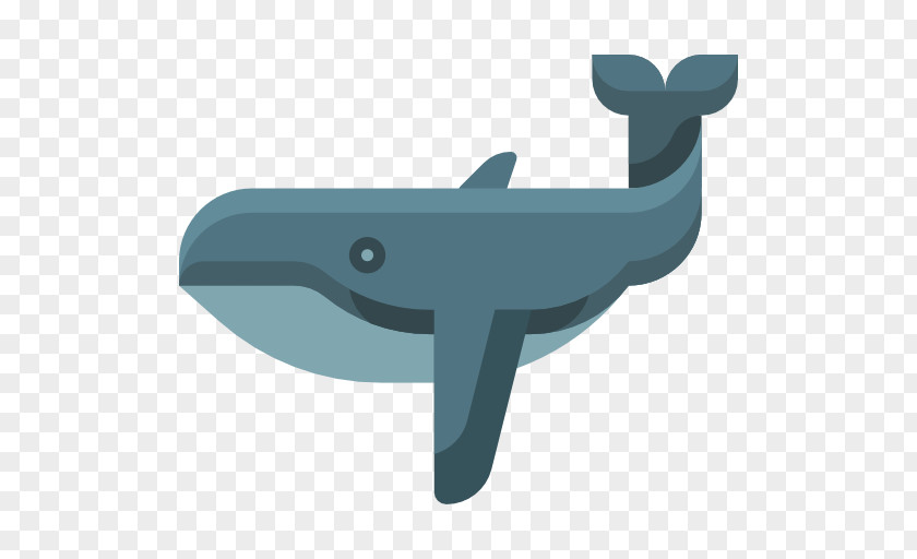 Whale Icon PNG