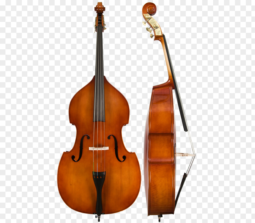 Bass Guitar Double Orchestra Musical Instruments PNG
