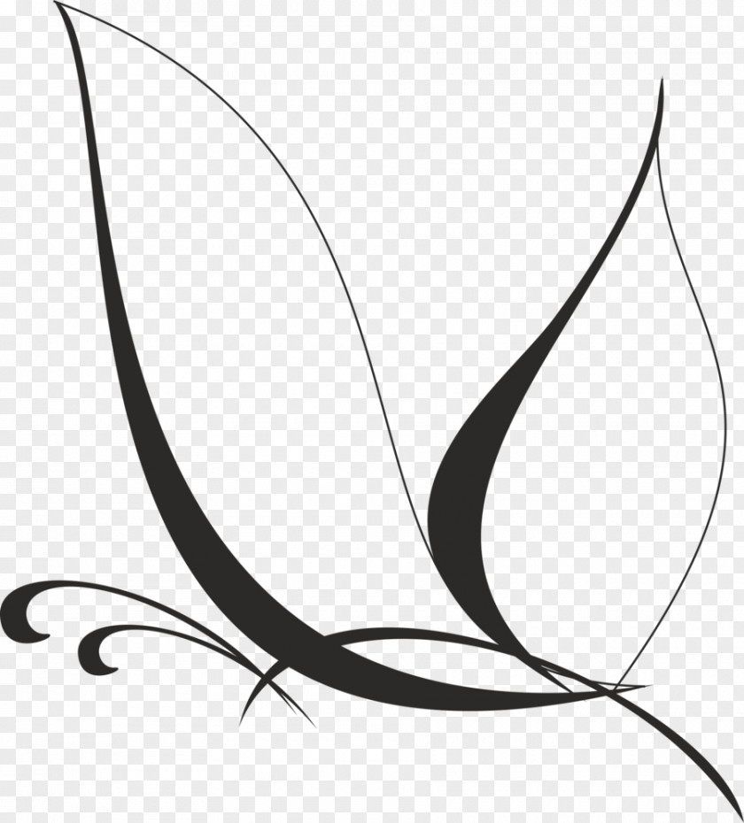 Butterfly Vector Art Drawing Logo Clip PNG