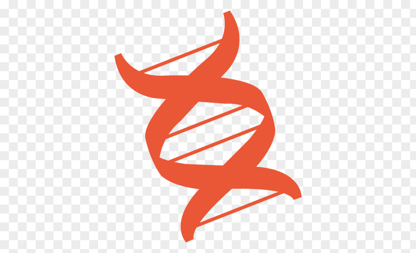 DNA Spiral PNG