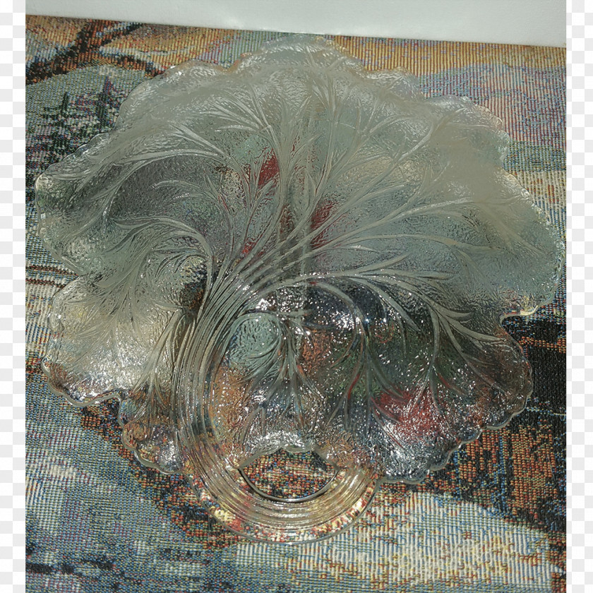 Feather Painting PNG