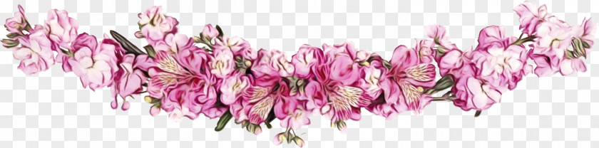 Pink Cut Flowers Flower Plant Petal PNG