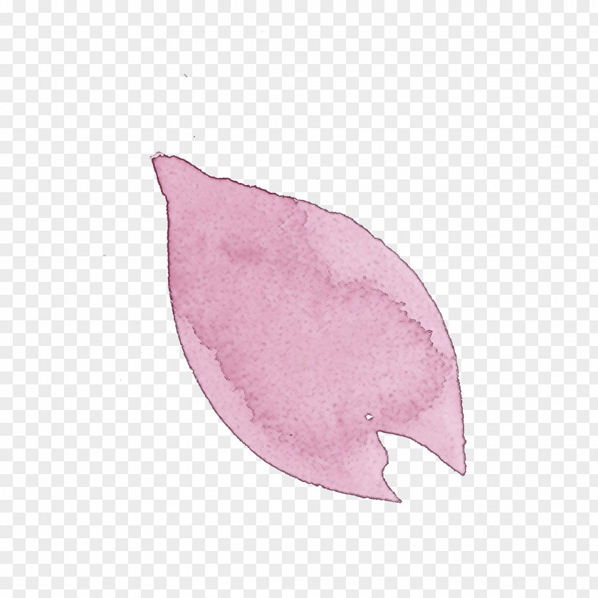 Pink Leaf Petal Plant Anthurium PNG