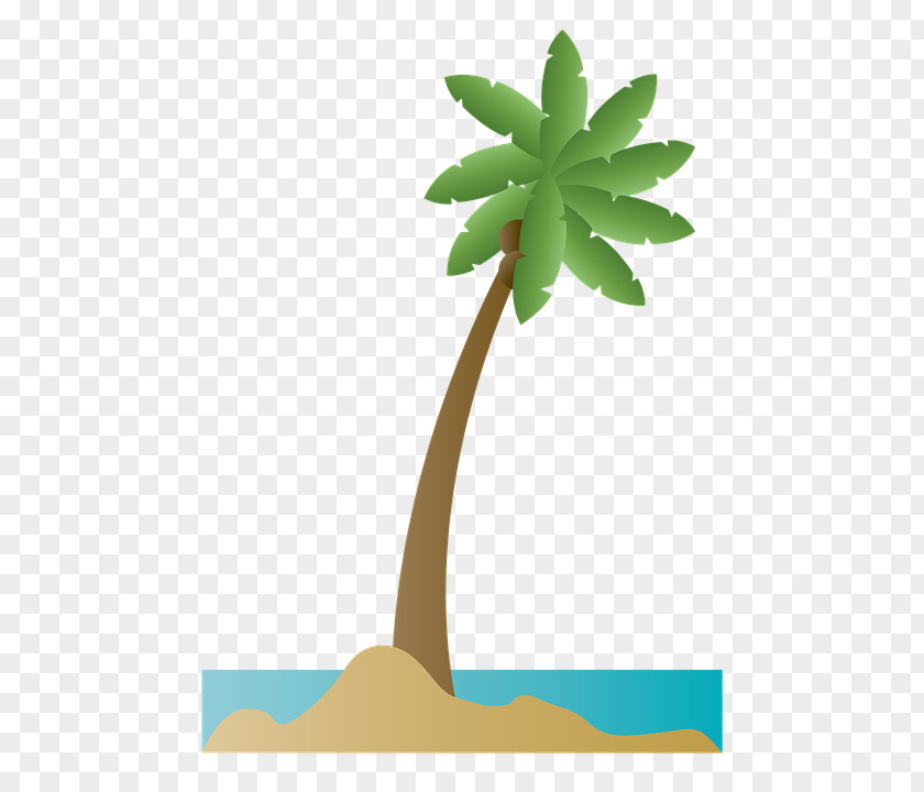Coconut Palm Trees Clip Art Image PNG