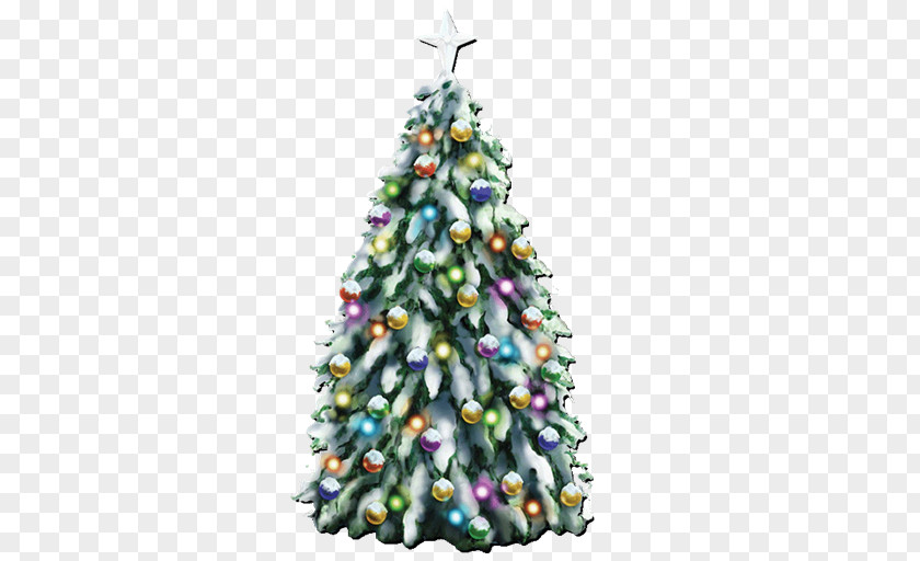 Evergreen Christmas Lights White PNG