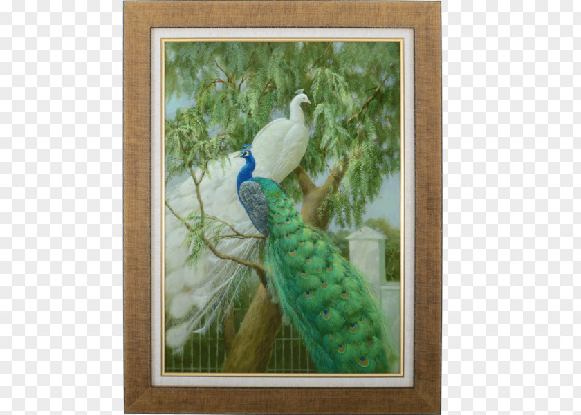 Feather Parrot Painting Fauna Beak PNG