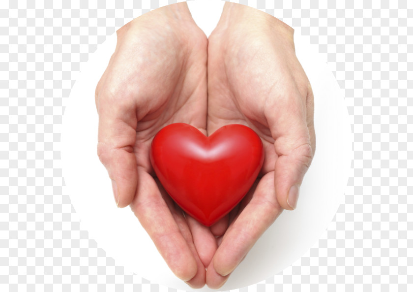 Heart Cardiovascular Disease Health Acute Myocardial Infarction PNG