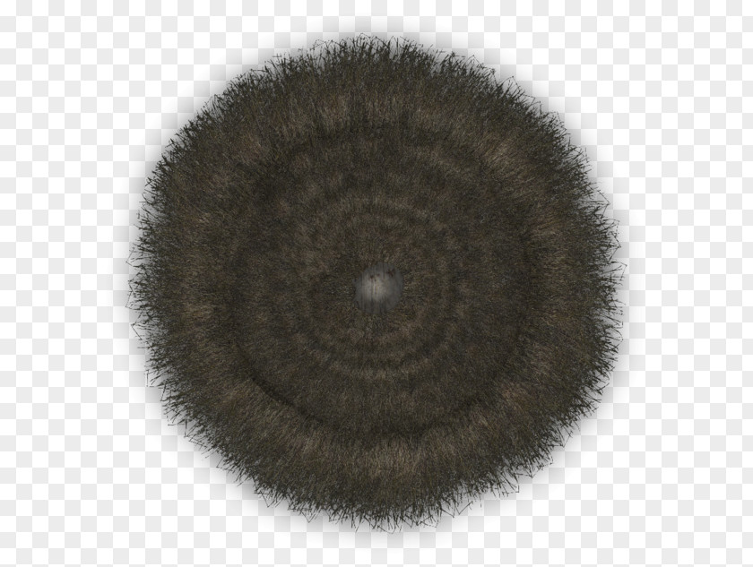 Hut Fur Close-up Brown Circle PNG