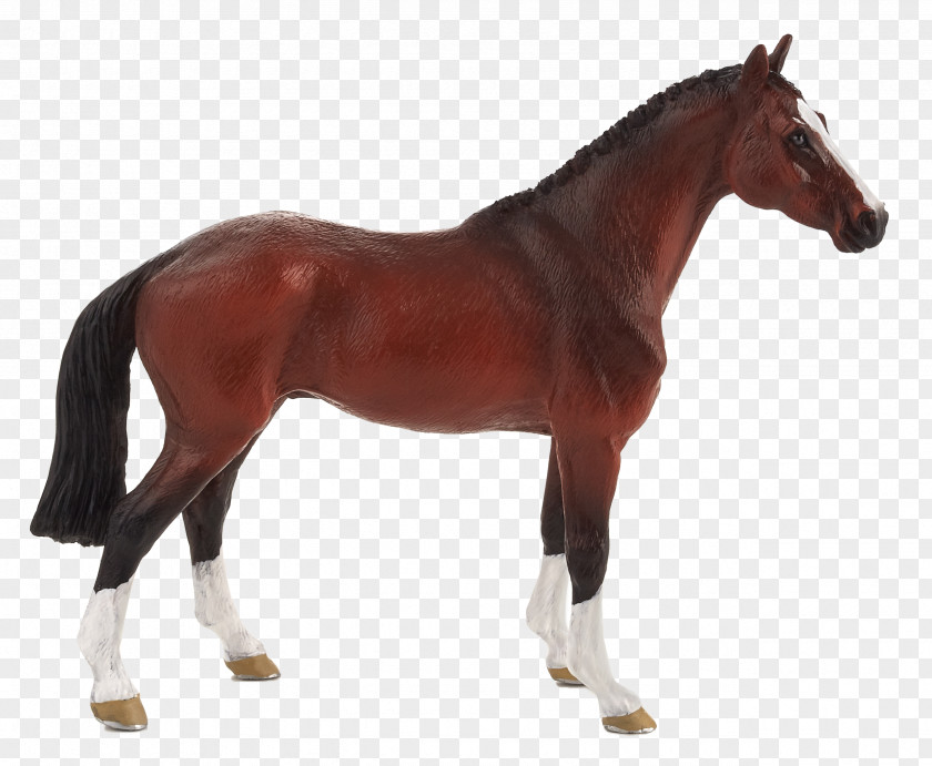 American Quarter Horse Appaloosa Paint Breyer Animal Creations Model PNG
