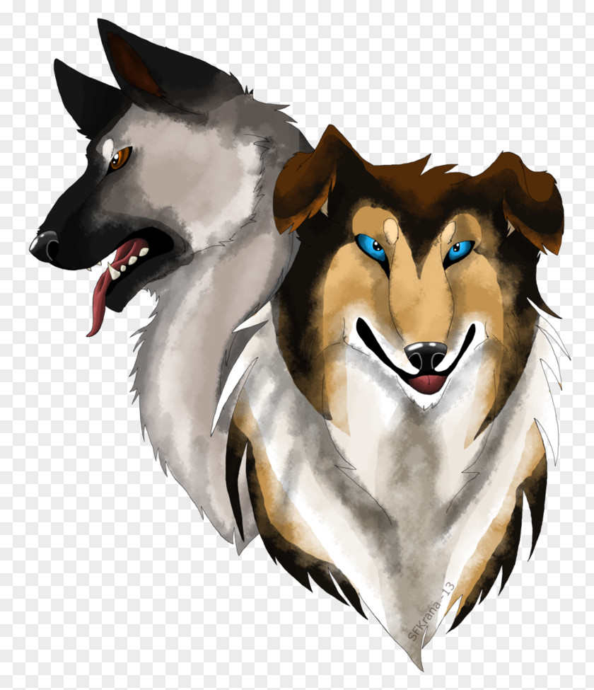 Dog Breed Norwegian Elkhound Rough Collie Snout Drawing PNG