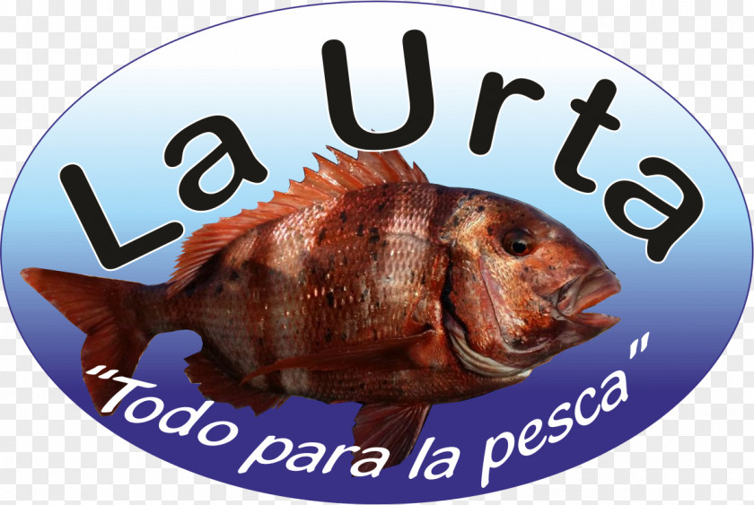 Fauna Fish Products PNG