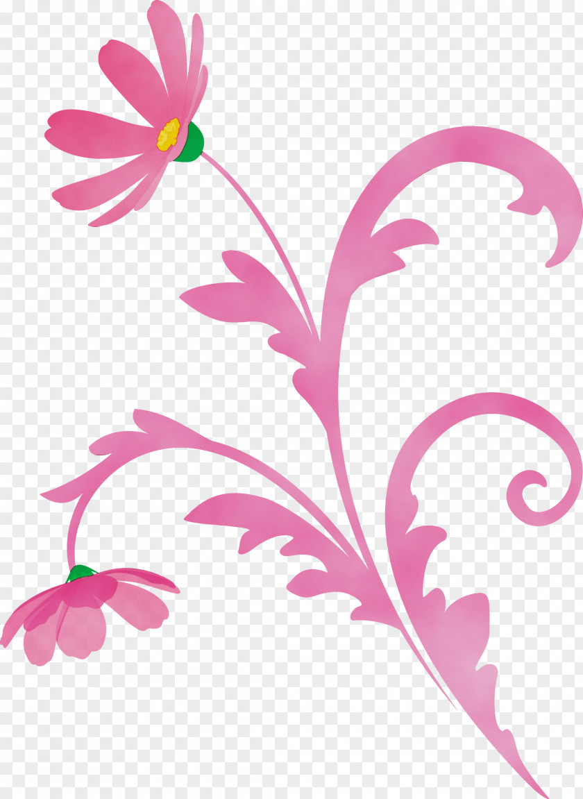 Floral Design PNG