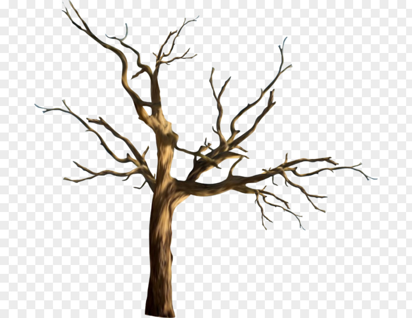 Tree Branches Image Download Clip Art Vector Graphics PNG