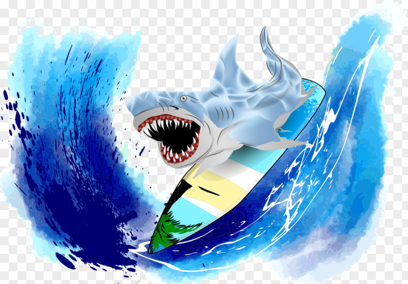 Vector Colored Shark Surfing Clip Art PNG