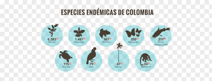 Aves Silvestres Biodiversity Of Colombia Alexander Von Humboldt Biological Resources Research Institute International Day For Diversity PNG