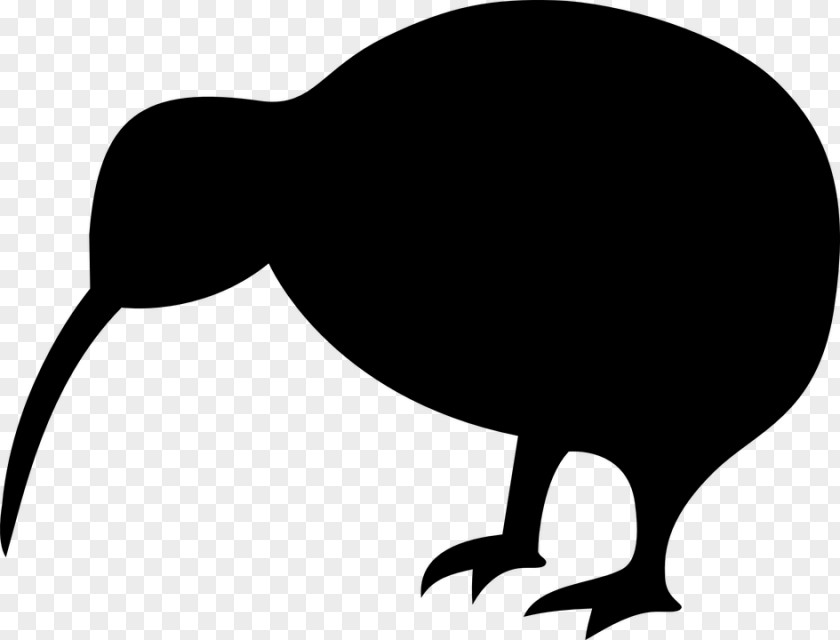 Kiwi Cartoon Bird Silhouette Clip Art PNG