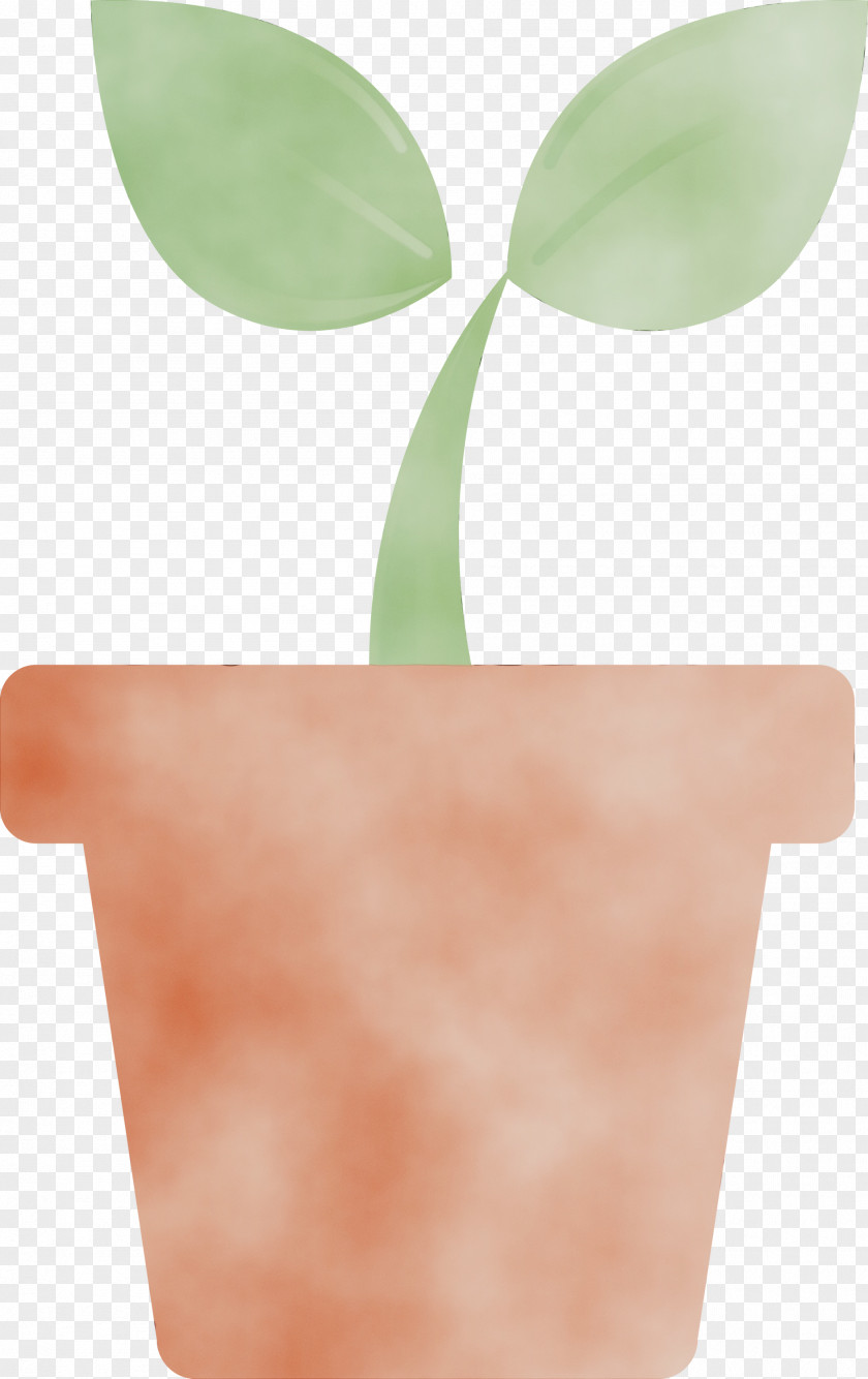 Leaf Flowerpot Plant Tree Flower PNG