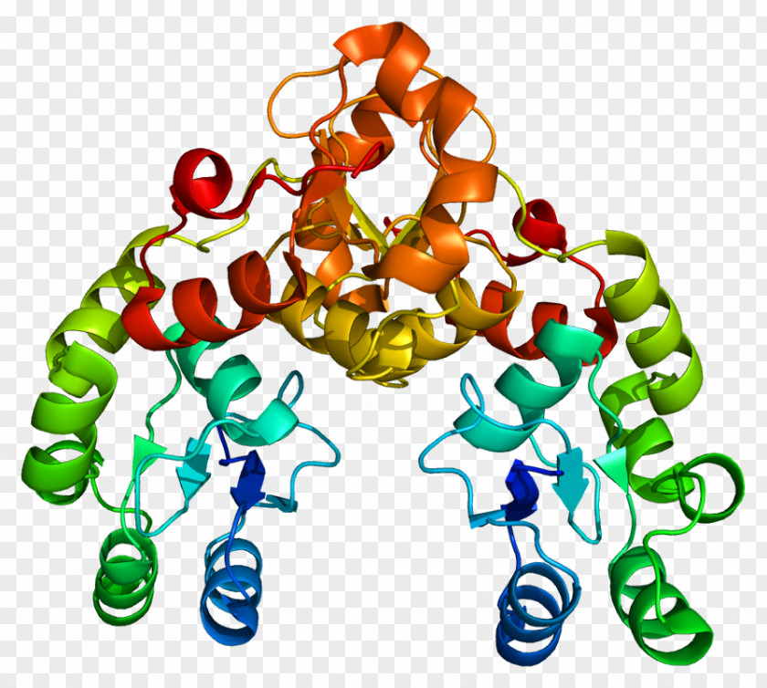 MDC1 ATM Serine/threonine Kinase Protein H2AFX MRN Complex PNG