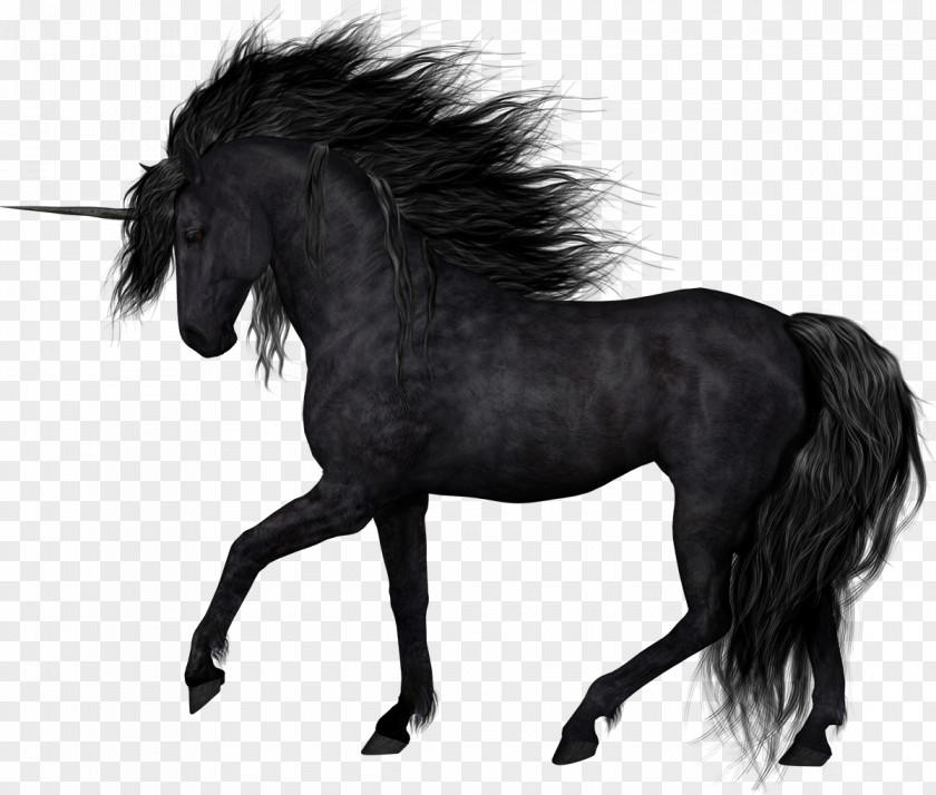 Mustang Stallion Black Clip Art PNG