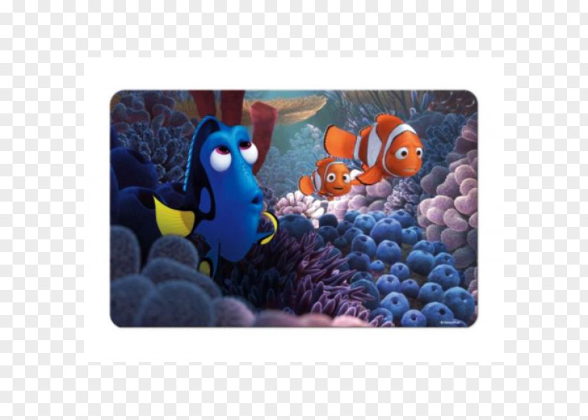 Nemo Marlin Finding Darla Film PNG