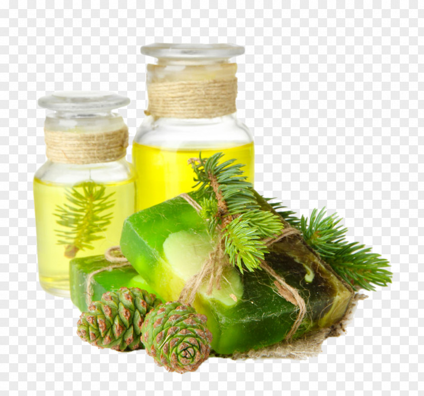 Pinecone Oil And Soap Image Essential Spa PNG