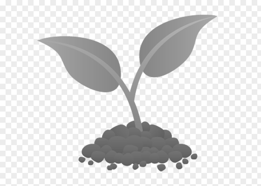 Plant Soil Seed Agriculture Leaf PNG