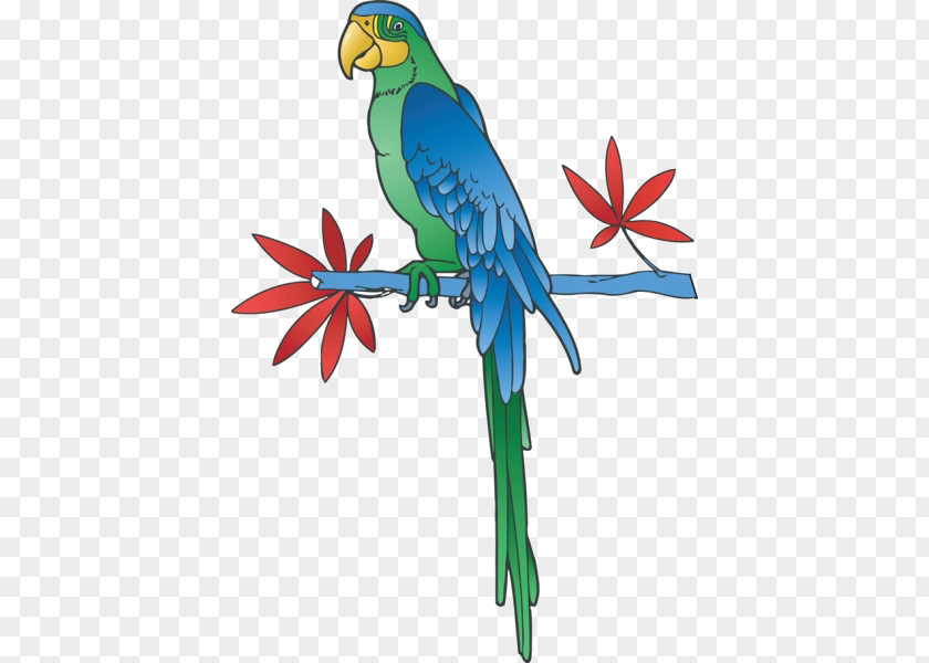 Cartoon On The Branch Of Parrot Royalty-free Clip Art PNG