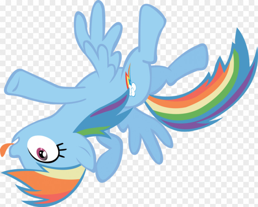 Dash Rainbow Pinkie Pie Rarity Pony PNG