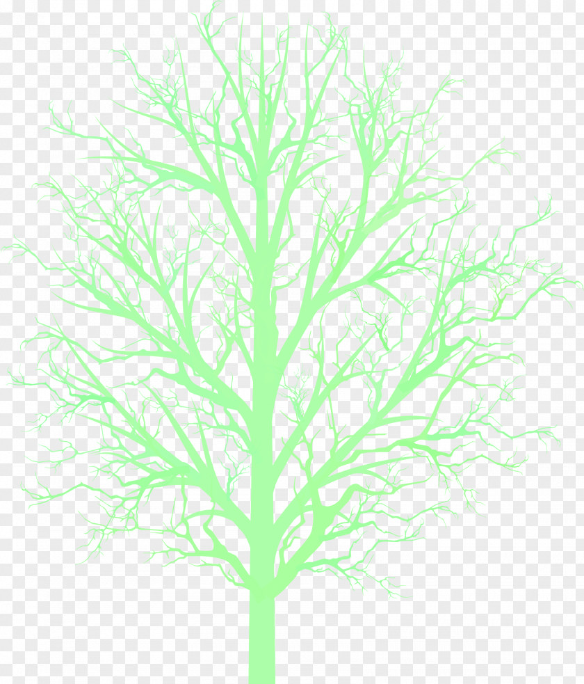 Famly Reunion Tree Clip Art Vector Graphics Image Stock.xchng PNG