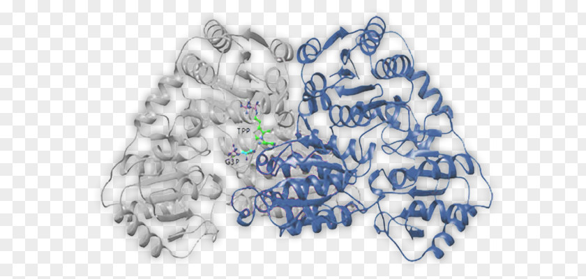 International Genetically Engineered Machine Catalysis Enzyme N2-(2-carboxyethyl)arginine Synthase Chemical Reaction PNG