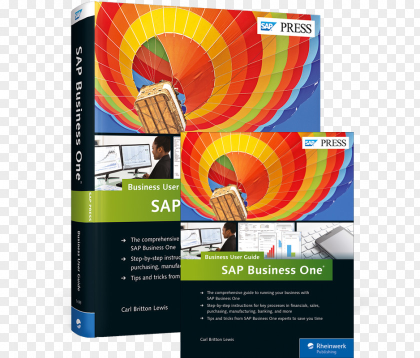Poster Business SAP One: User Guide SE PNG