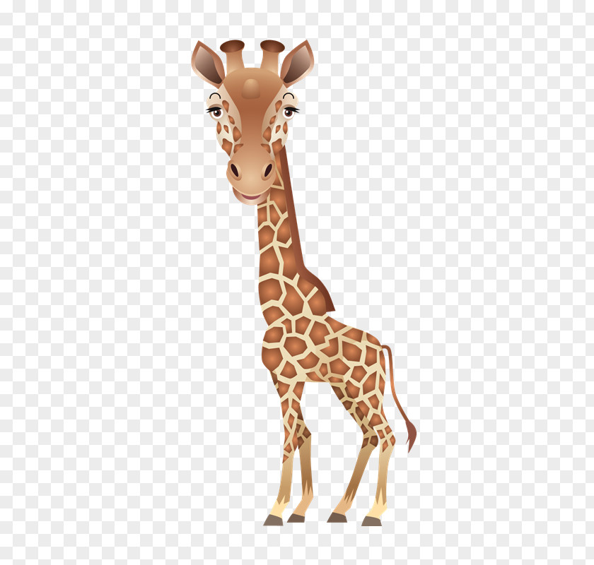 Vbs Leopard Neck Northern Giraffe Animal PNG