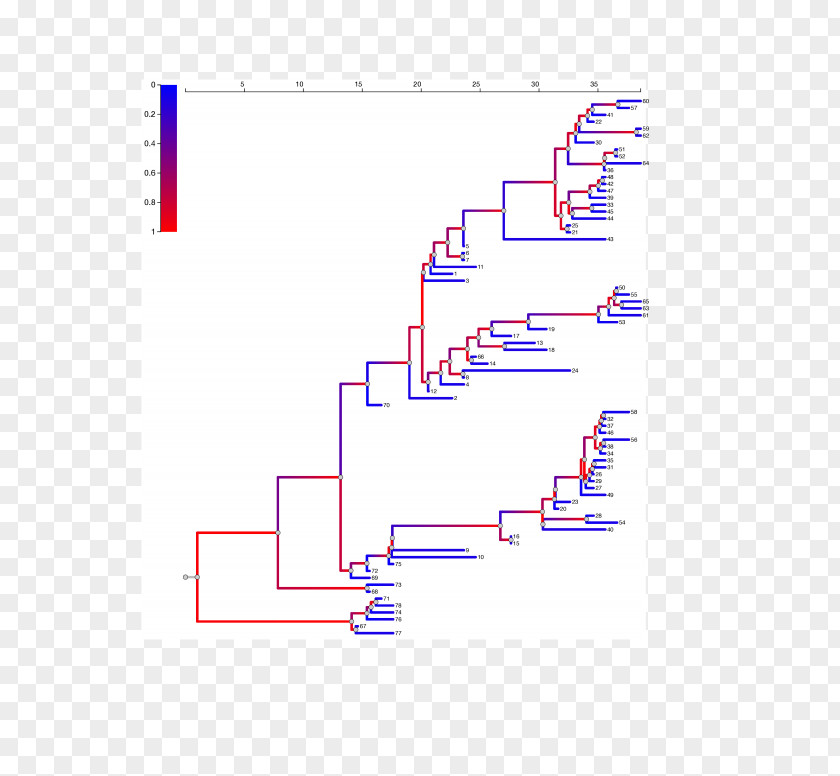 2014 Guinea Ebola Outbreak West Africa Viral Phylodynamics Phylogenetic Tree Virus Disease PNG