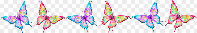 Butterfly Photography PhotoScape PNG